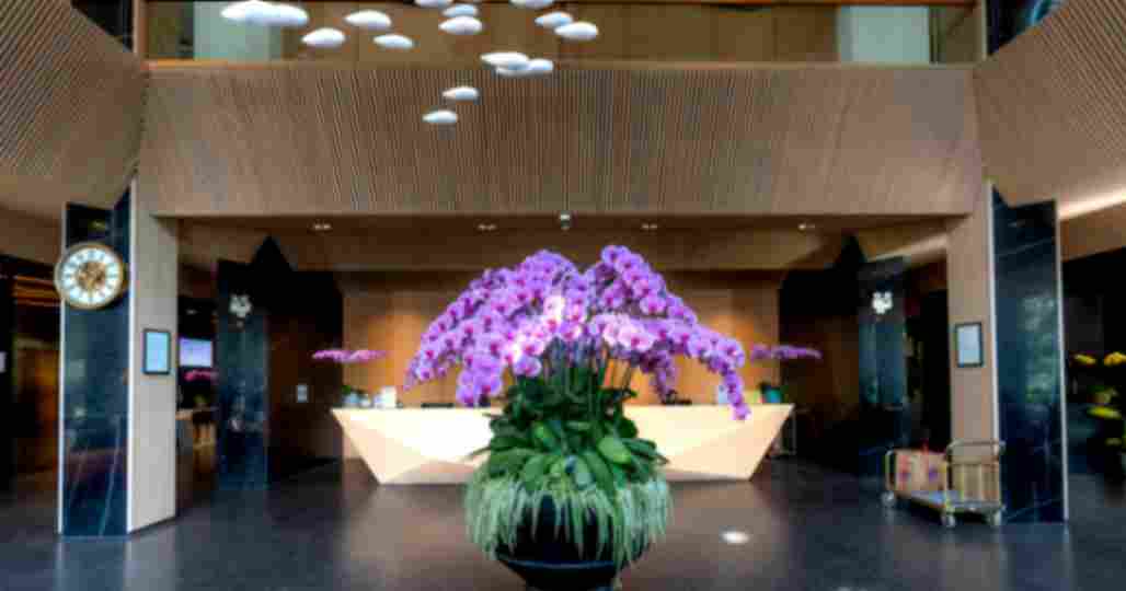 Hotel_reception